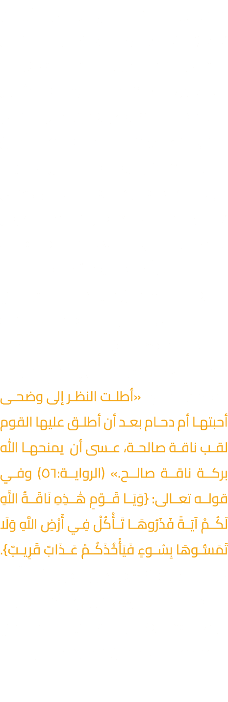 تحمل رواية ناقة صالح للروائي الكويتي سعود السنعوسي من العمق ما يمثل الوعي المجتمعي بتاريخه وموروثه الشعبي، فأقام الكا...
