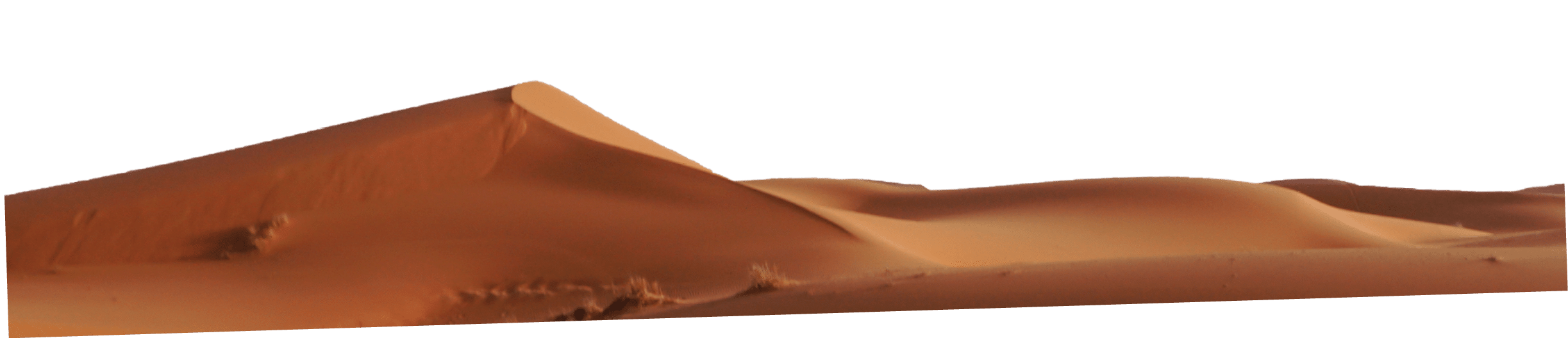 The dunes of Erg Chebbi, Morocco